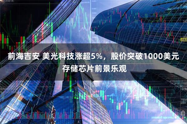 前海吉安 美光科技涨超5%,股价突破1000美元 存储芯片前景乐观